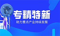 HEL压敏电阻生产工厂被评为专精特新中小企业